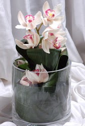  Ankara entepe internetten iek siparii  Cam yada mika vazo ierisinde tek dal orkide