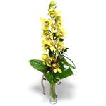  Ankara yenimahalle nternetten iek siparii  cam vazo ierisinde tek dal canli orkide