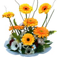 camda gerbera ve mis kokulu kir �i�ekleri  Ankara eryaman �i�ek�i telefonlar� 