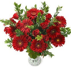 5 adet kirmizi g�l 5 adet gerbera aranjmani  Ankara ivedik hediye �i�ek yolla 