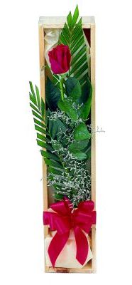 1 adet kutuda kirmizi g�l  Ankara ostim �i�ek g�nderme sitemiz g�venlidir 