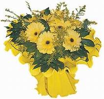  Ankara gazi mahallesi �i�ek�i ma�azas�  9 adet sari g�zel gerbera