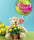  Ankara gazi mahallesi �i�ek�i ma�azas�  Ayicik balon ve saksida sari g�ller