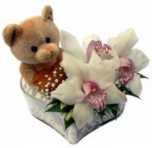  Ankara bat�kent �i�ek yolla  15 cm boyutlarinda ayicik ve 1 kandil orkide