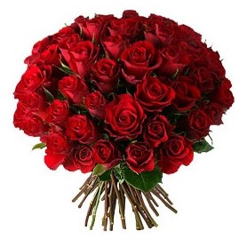  Ankara etimesgut �i�ek , �i�ek�i , �i�ek�ilik  33 adet k�rm�z� g�l buketi