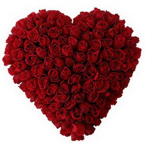  Ankara gazi mahallesi �i�ek�i ma�azas�  muhte�em k�rm�z� g�llerden kalp �i�e�i