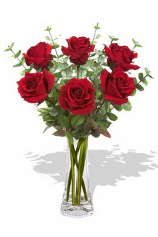  Ankara gazi mahallesi �i�ek�i ma�azas�  6 k�rm�z� g�l vazosu