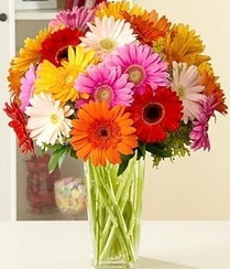  Ankara �mitk�y �i�ek servisi , �i�ek�i adresleri  15 adet gerbera �i�ek vazosu