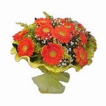  Ankara bat�kent �i�ek yolla  11 adet se�me gerbera �i�egi