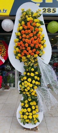 D���n A��l�� �i�ekleri  Ankara ergazi kaliteli taze ve ucuz �i�ekler 