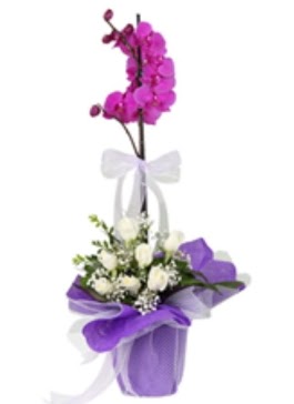 1 dal mor orkide ve 11 adet beyaz g�l  Ankara 14 �ubat sevgililer g�n� �i�ek 