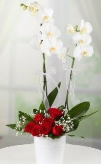 2 dall beyaz orkide 7 adet krmz gl  Ankara 14 ubat sevgililer gn iek 