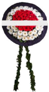 mozele �i�e�i  Ankara �ayyolu hediye sevgilime hediye �i�ek 