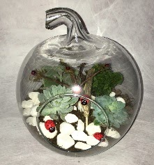 K���k terrarium elma 3 kakt�s  Ankara hacettepe �i�ek ma�azas� , �i�ek�i adresleri 