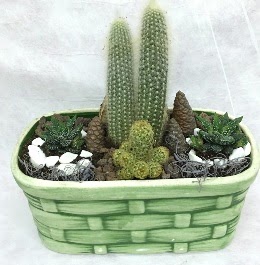 Seramik i�erisinde 5 kakt�sl� terrarium  Ankara ostim �i�ek g�nderme sitemiz g�venlidir 
