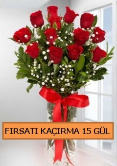  15 �thal k�rm�z� g�l b�y�k ba�l� orjinal  Ankara laleg�l �i�ek sipari�i sitesi 