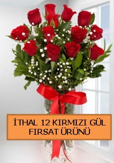  �thal k�rm�z� 12 adet kaliteli g�l  Ankara demetevler ucuz �i�ek g�nder 