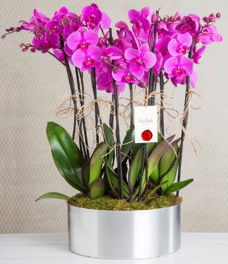 11 dall� mor orkide metal vazoda  Ankara ostim �i�ek g�nderme sitemiz g�venlidir 