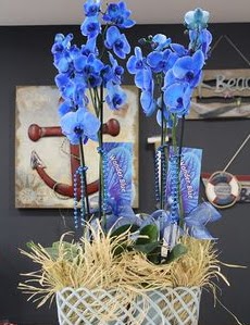 4 dall zel mavi orkide  Ankara varlk mahallesi iek siparii vermek 