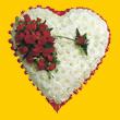  Ankara �i�ek yolla , �i�ek g�nder , �i�ek�i   1.20m x 1.20m  Gerbera G�ller