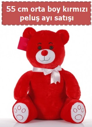 55 cm k�rm�z� orta boy oturan pelu� ay�  Ankara bat�kent �i�ek yolla 