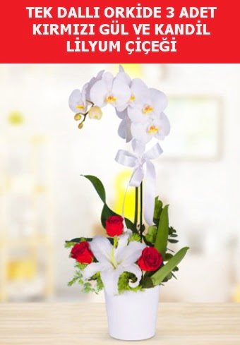Tek dall orkide 3 gl ve kandil lilyum  Ankara batkent iek yolla 