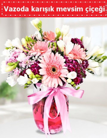 Vazoda kar���k mevsim �i�e�i  Ankara etimesgut �i�ek , �i�ek�i , �i�ek�ilik 