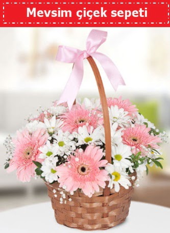 Mevsim k�r �i�ek sepeti  Ankara etimesgut �i�ek , �i�ek�i , �i�ek�ilik 
