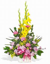  Ankara �mitk�y �i�ek servisi , �i�ek�i adresleri  sepet i�inde Glayor karanfil �zel tanzim