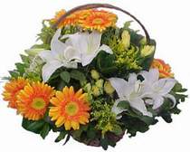  Ankara online �i�ek�i , �i�ek sipari�i  sepet modeli Gerbera kazablanka sepet